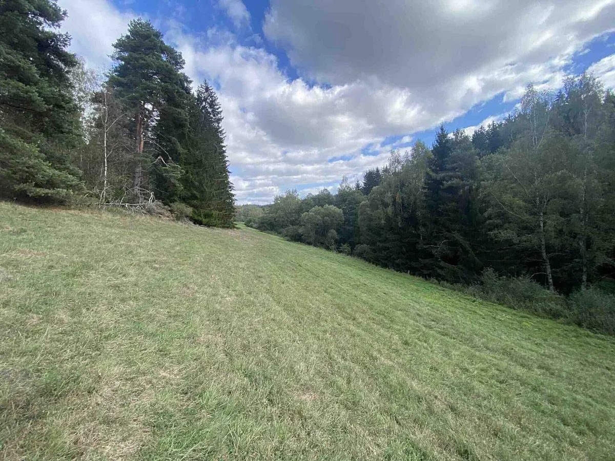 Prodej pole 1114 m²